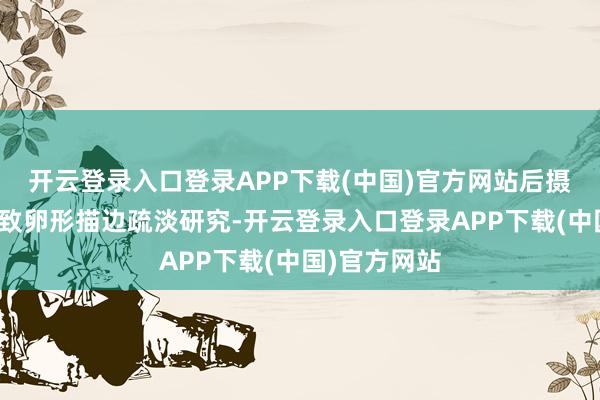 开云登录入口登录APP下载(中国)官方网站后摄模组则是罗致卵形描边疏淡研究-开云登录入口登录APP下载(中国)官方网站