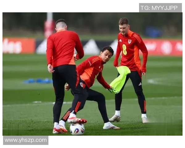 威尔士足球明星的崛起与挑战分析聚焦球队核心球员的表现与未来展望